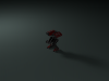 r007